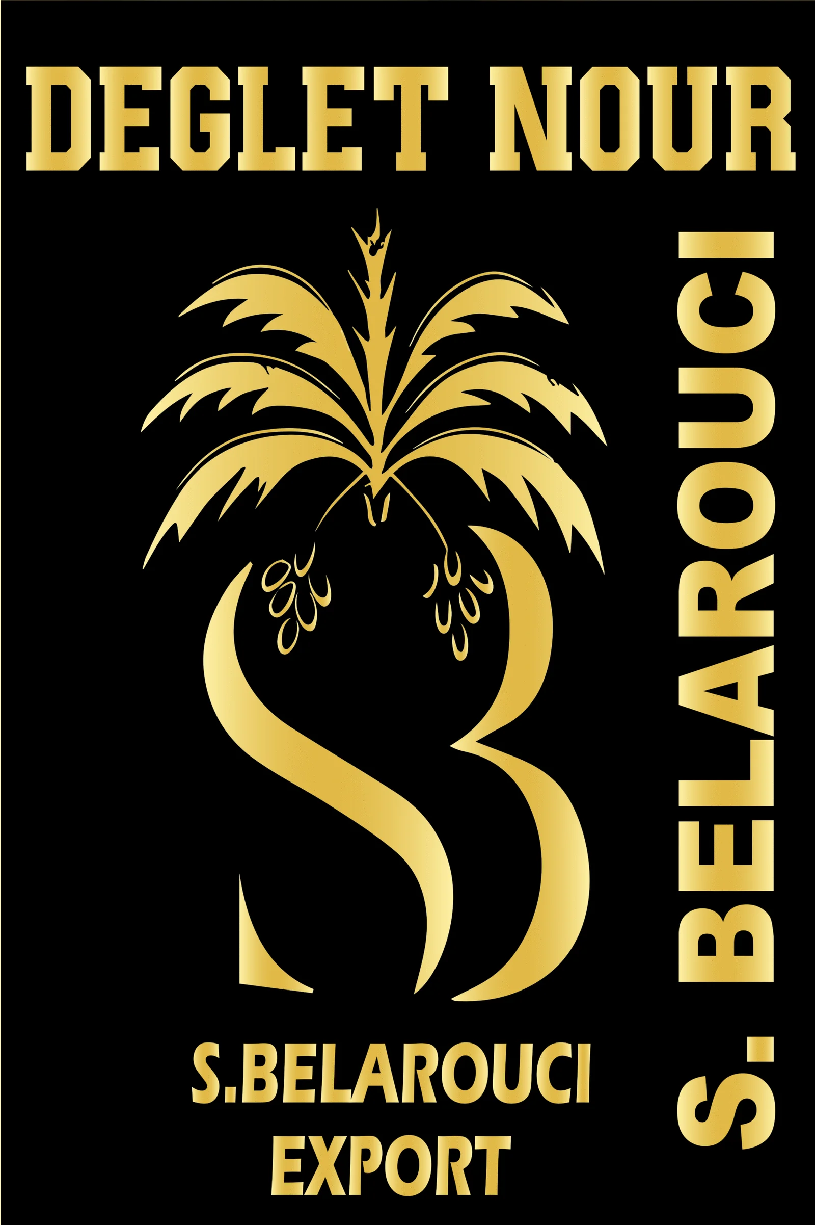 cropped logo dore 90x120cm belarouci 1 scaled 1
